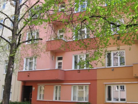 Bayerova